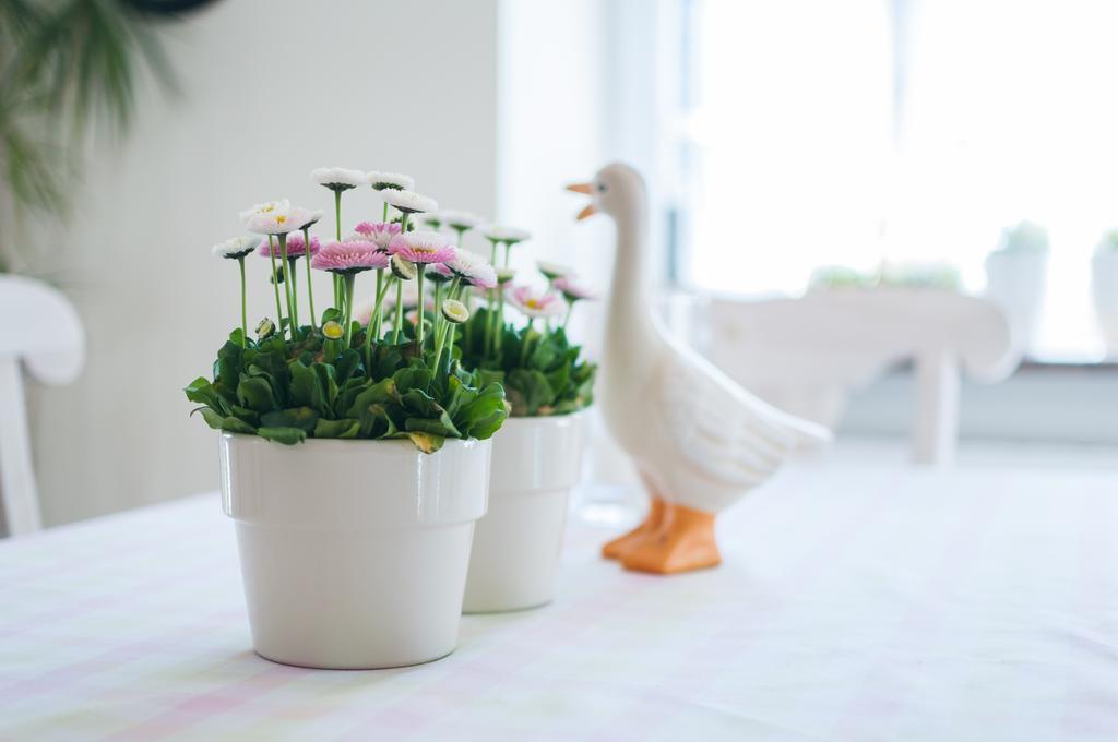 Mon Plaisir Apartment Карпач Екстериор снимка